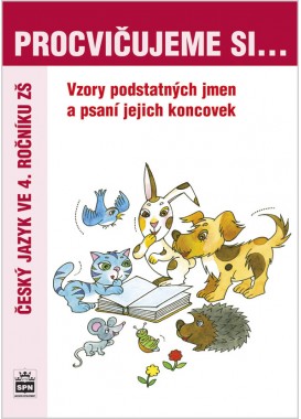 Procvičujeme si vzory a psaní koncovek podstatných jmen pro 4. r. ZŠ